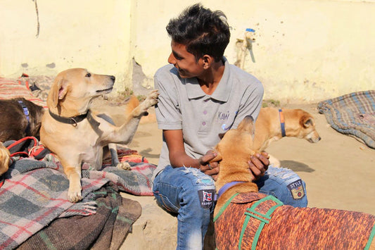 How to Adopt a Dog in India