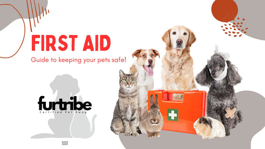 Pet First Aid: A Compassionate Guide to Keeping Our Furry Friends Safe - FurTribe