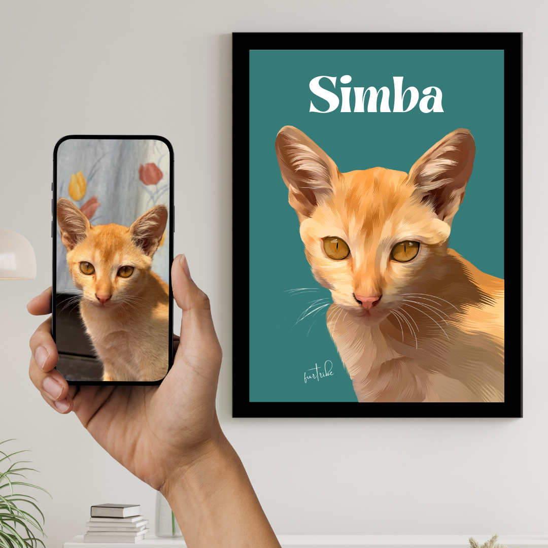 Colourful Pet Portrait