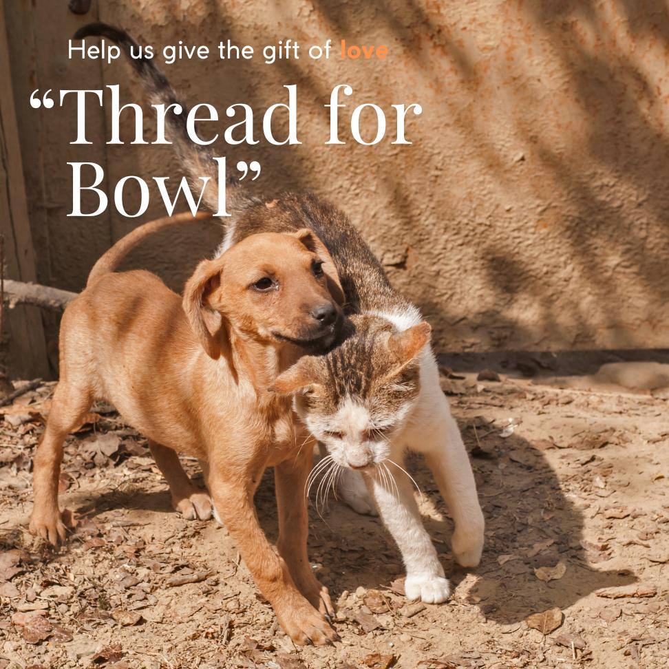 furtribe-thread-for-bowl-support-stray-1