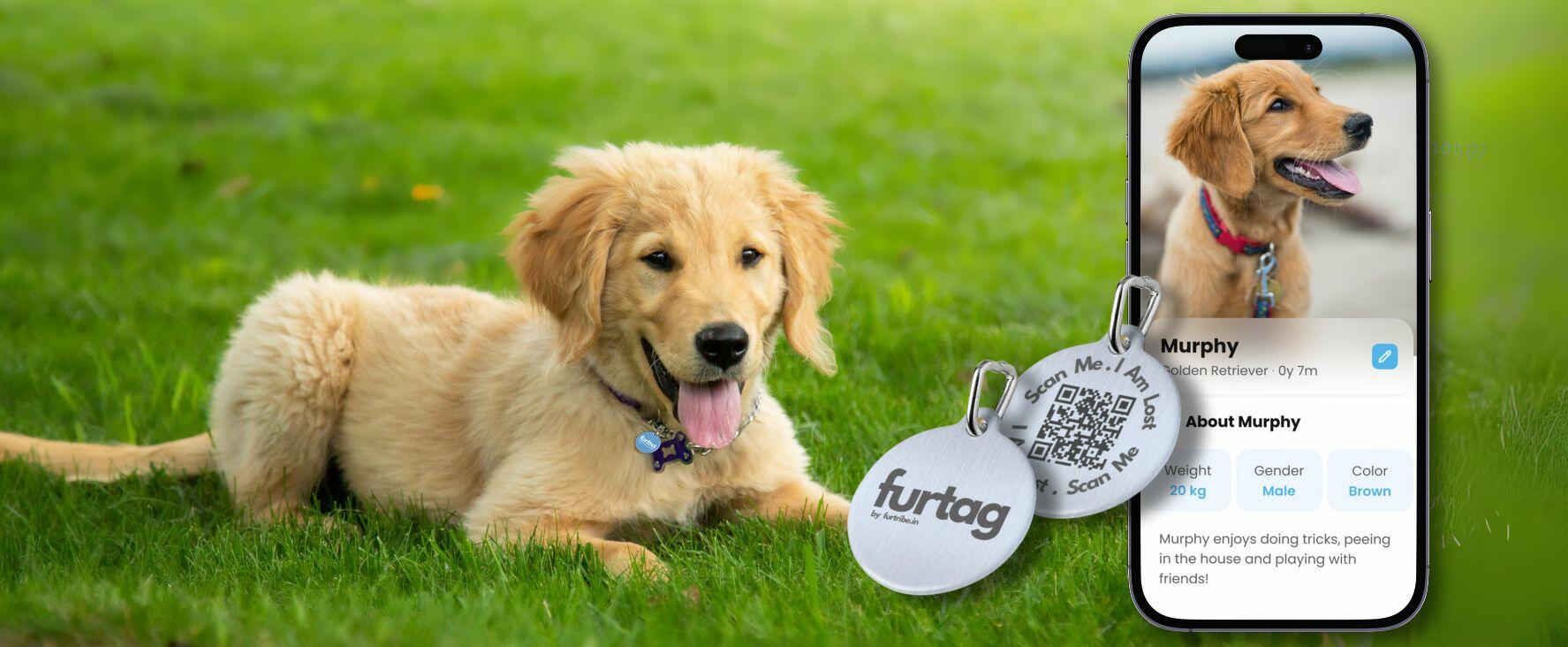 furtribe-furtag-GPS-Pet-Tracking-No-Charging-pet-safety-best-tracker